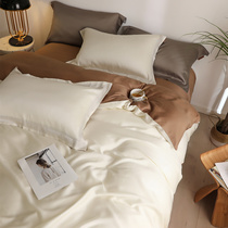 Nordic wind - colored 80 double - sided skyline four - piece summer ice wire minimal bed sleeping suite