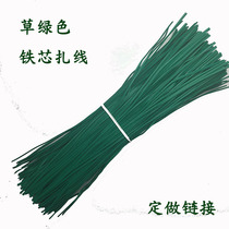 Grass green 0-45 iron core Zaline garden bundled line set to make arbitrary length round flat paper card ties