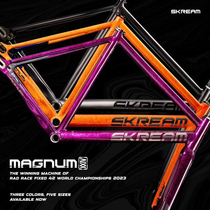 Skream Magnum24 aluminum alloy frame dead fly single speed racing bicycle frame