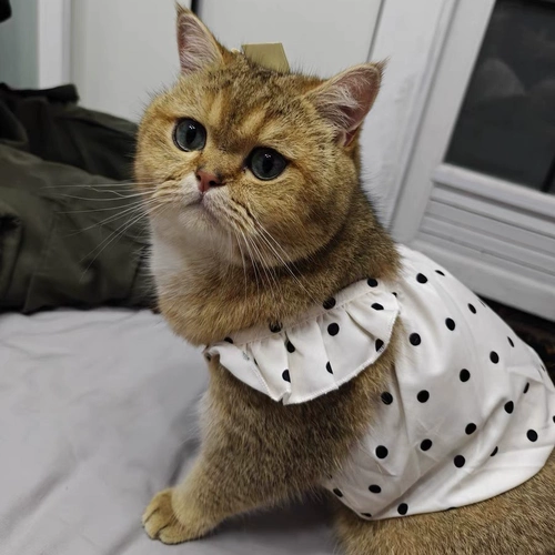 Тонкий дышащий шнурок-держатель, платье для принцессы