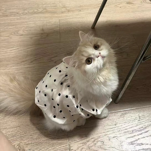 Тонкий дышащий шнурок-держатель, платье для принцессы