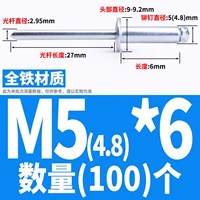 Железный M5*6 (100)