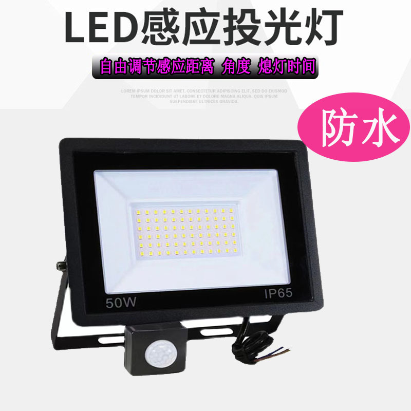 Outdoor human induction flood light 110v 220v waterproof garden light Radar induction LED garage fill light