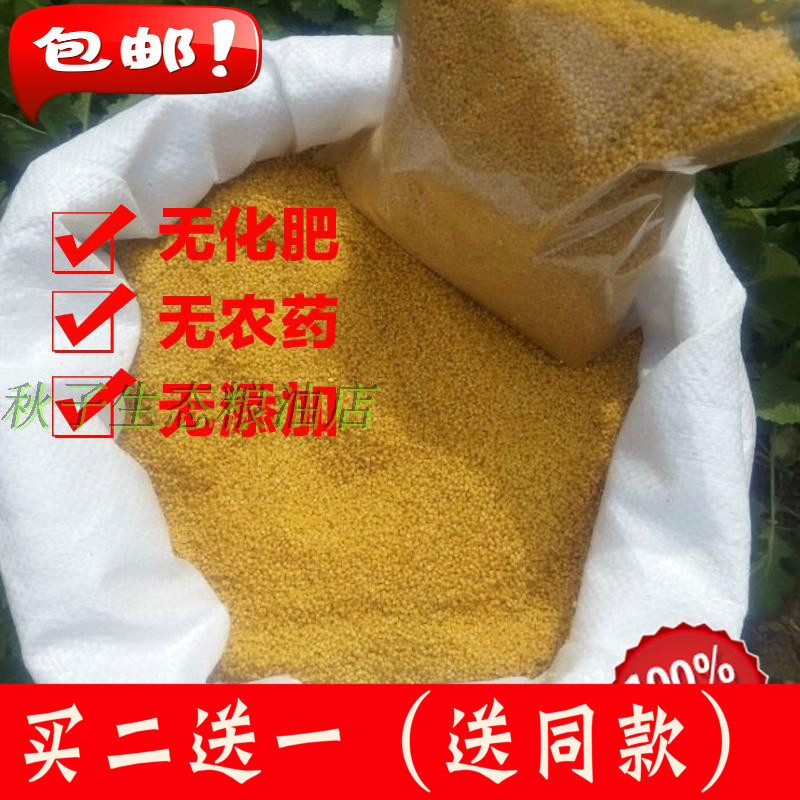2021 Guangling Millet Shanxi Specialty Yuezi Millet Bright Millet 1kg