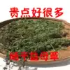 2021 Wild sun-dried motherwort Chinese herbal medicine sulfur-free conditioning menstrual cold is less delayed and does not come in advance