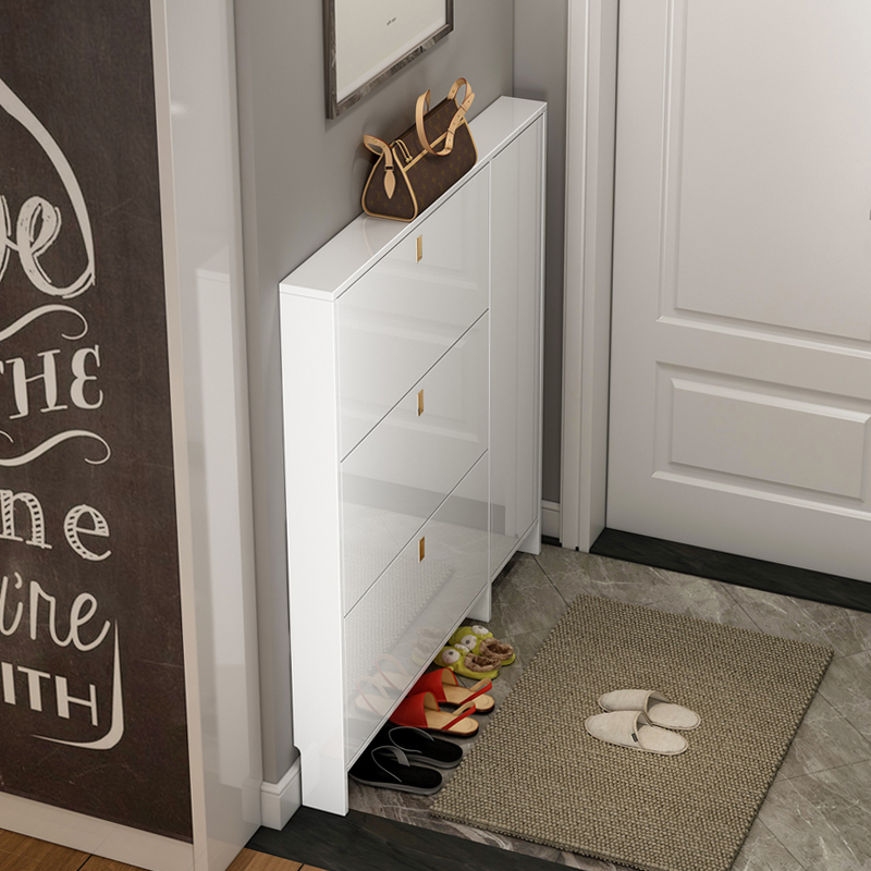 Ultrathin shoe 17cm modern simple foyer dump door