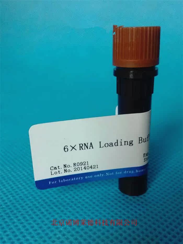 6XRNA loading Buffer 1ml   核酸电泳 R0921
