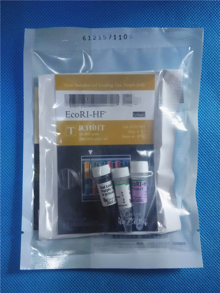 限制性内切酶EcoRI-HF? NEB R3101T