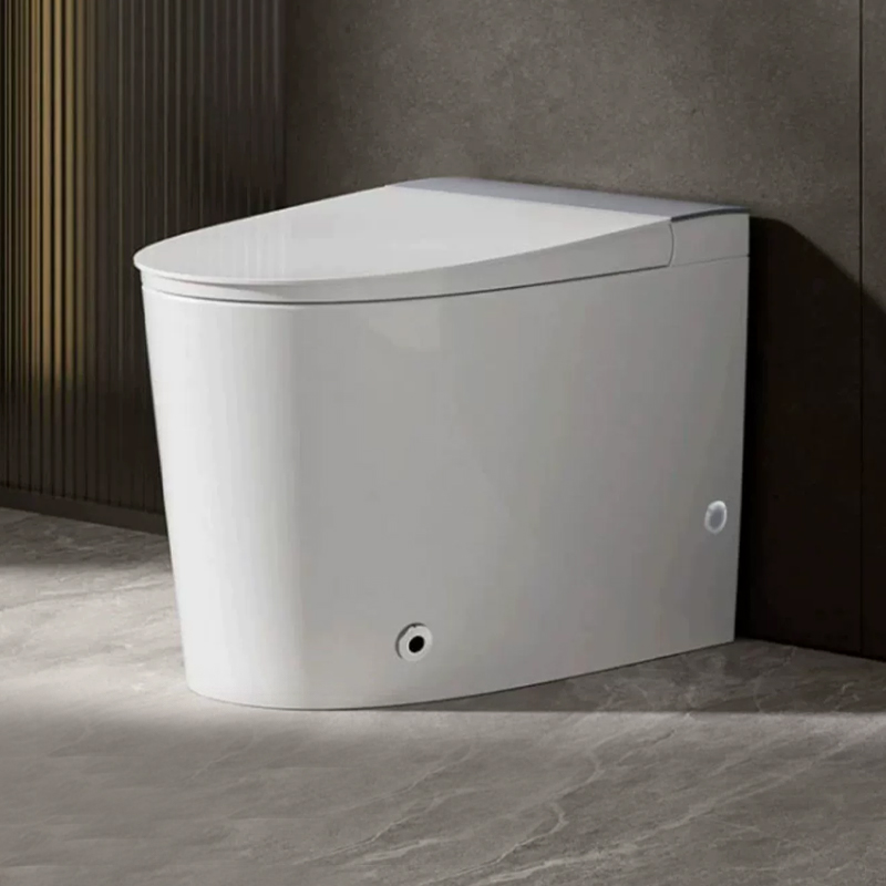 (new product) Nine pastoral light intelligent pulse toilet siphon water-saving home deodorant ceramic floor toilet 11423-Taobao