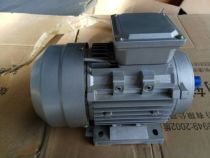 Special motor for bowling equipment