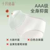 十月结晶 Нижнее белье для путешествий