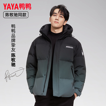 【鸭鸭官旗】陈牧驰款男渐变羽绒服