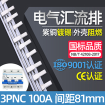 Electrical bus 3P NC 100 type copper national standard CDB2 DZ158 wiring copper row dressing copper busbar