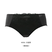 Moonlight Night 40056