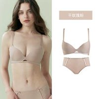 Высушенная розовая порошок