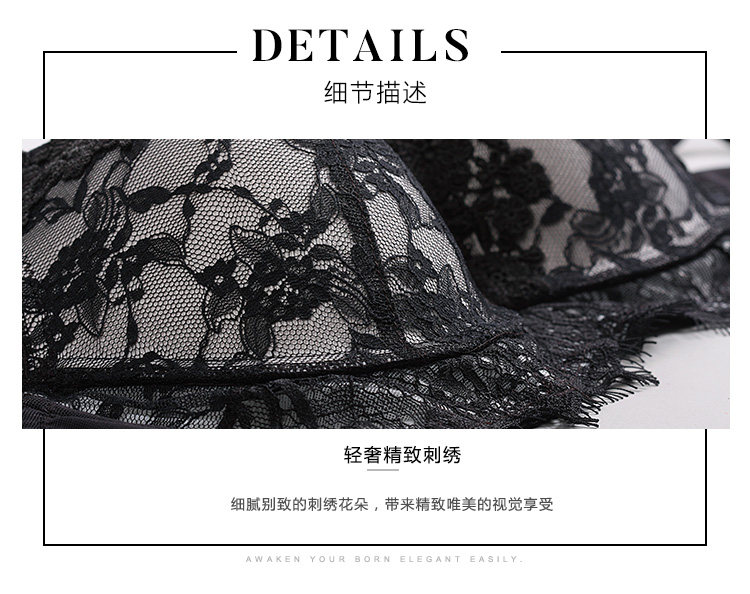 黑仙鹅_09.jpg
