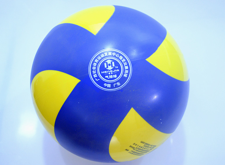 Ballon de volley - Ref 2012832 Image 8