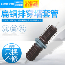 CWWB-35KV40 5 2000A3150A4000 anti-fouling outdoor high-pressure wall casing copper row CWB