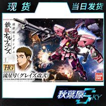 Bandai HG IBO 012 1 144 Iron-Blooded Grez changed to type II meteor up model