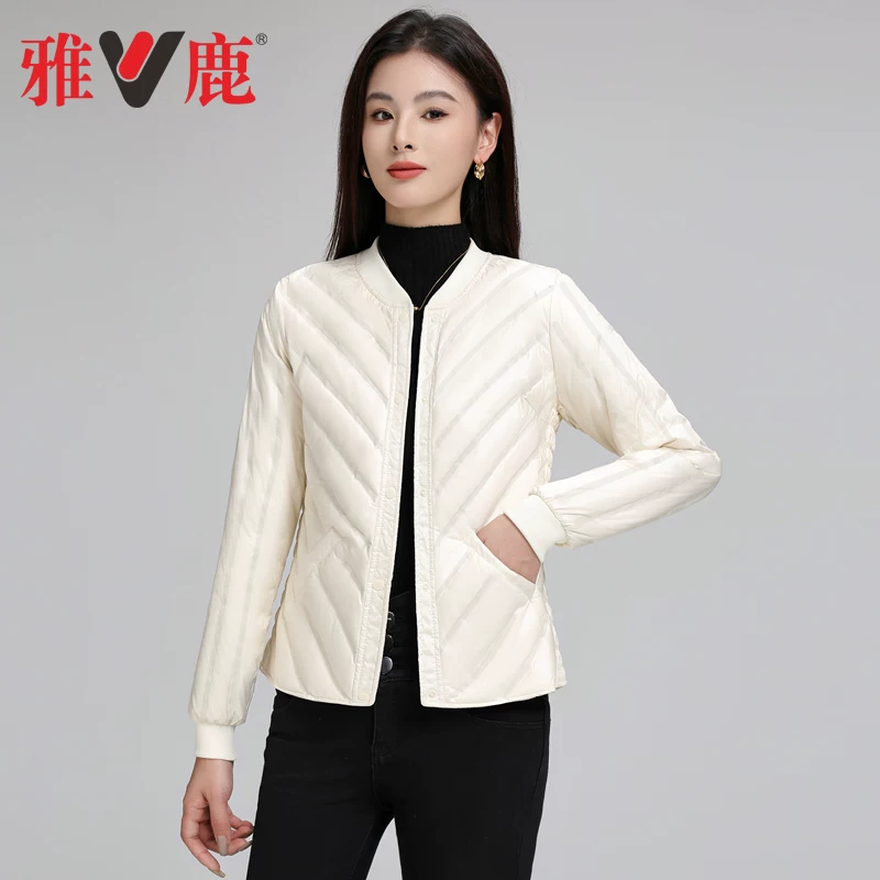 Fitted light and thin long-sleeve with down, short vest, down jacket