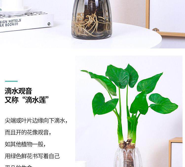 详情图7.jpg