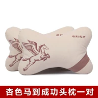 Абрикосовая цветная лошадь успешна, пара одежды