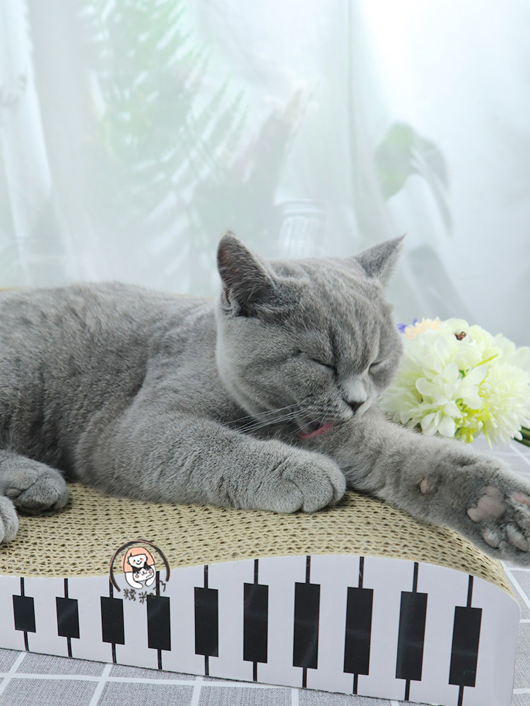 Piano Cat Grip Plate Large Arch Bridge Shaped Corrugated Paper Backleaning Style Sofa Cat Cowl Claw Comfort Resistant Kitty Supplies