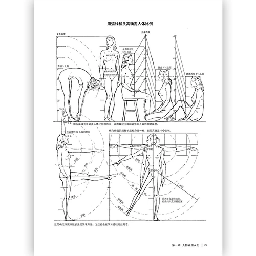 后浪 Подлинная бесплатная доставка Эндрю Лимиса Урок наброски 03 изображает двенадцать важных моментов человеческого тела