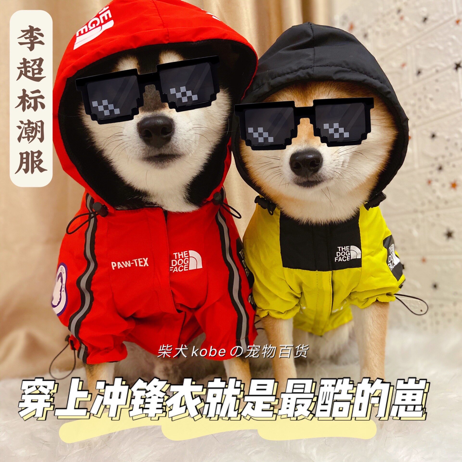 Christmas Shiba Inu Corgi pet clothes raincoat Teddy two-legged small and medium-sized clothing waterproof clothing charge clothing