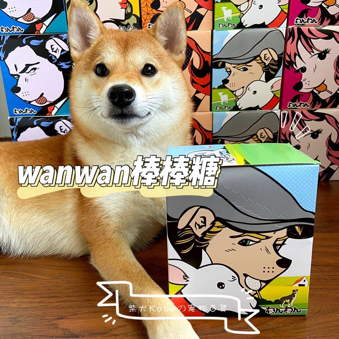 wanwan stick candy full series day and cheese dog wet grain pet with zero food grinding stick 8 a box