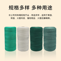 Greenhouse hanging seedling rope Agricultural tomato tomato cucumber hanging rope Nylon rope Polyethylene plastic rope Vegetable hanging vine rope