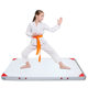 Canvas Martial Arts Somersault Mat, Sports Practice Mat, Gymnastics Sponge Mat, Sanda Mat, Taekwondo Mat, Sit-Up Mat