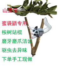 Eucalyptus tree branches Stand bar jump platform Eucalyptus fork Honey kangaroo furniture Honey bag glider Pet supplies Toys