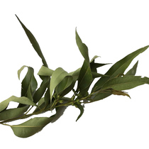 Pet Supplies With Eucalyptus fruit Dense Kangaroo Honey Bag Glider Food Deodorant mat Dry leaves Molar teeth cleaning