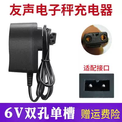 Shanghai Youshen electronic scale 6V4V Charger power cord BS double hole single sink wire scale balance accessories