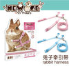 Supplies Rabbit Leash Rabbit Leash Rabbit Leash Chain