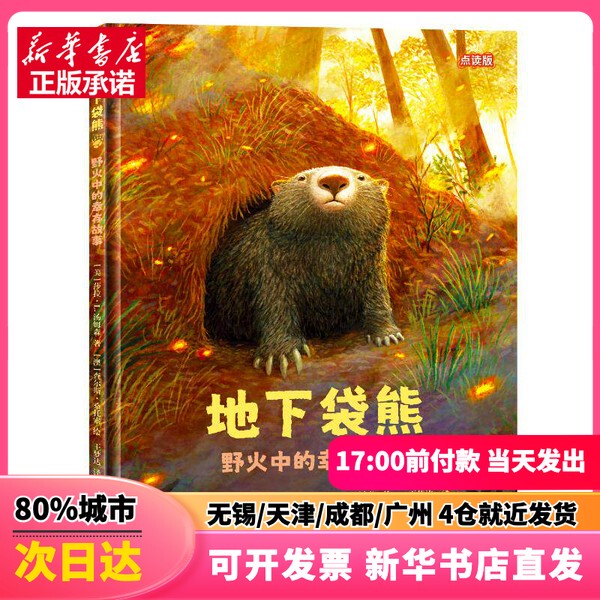 [Authentic New Book] Underground Koalas: a Survival Story in Wildfires (Usa) Sarah L Thompson's Book, Translated by Wang Mengda, Illustrated by [Australian] Charles Santoso, Published by Hai Tian Publishing House.