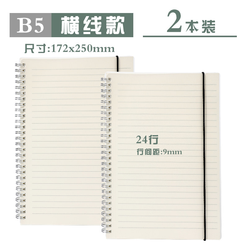 B5 горизонтальная линия (большой размер) 2 книги