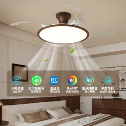 All-Copper Motor with a Five-Year Warranty, 2025 New Model, Vintage Style, Variable Frequency, Ultra-Quiet, Energy-Saving, Ultra-Thin Invisible Fan Light