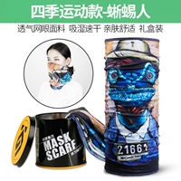 Четыре сезона спортивно-ящела