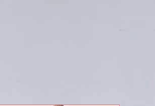 Costume homme RUIPE en polyester pour printemps - Ref 1569024 Image 17