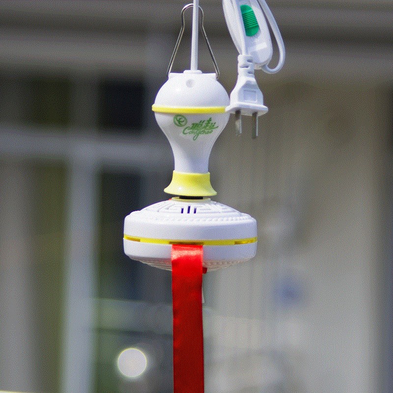 Cooked Food Shop Fan Fan Fan Catch-up Rotation 220V Small Fan Mosquito Repellent Small Wind Fly Dining Hall Commercial