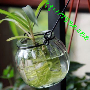 Hanging Vase Glass Transparent Small Hanging Bottle Iron Ring Pumpkin Pendant Bottle Minimalist Idea Wall-mounted Happiness Grass Hydroppot Flower Pots