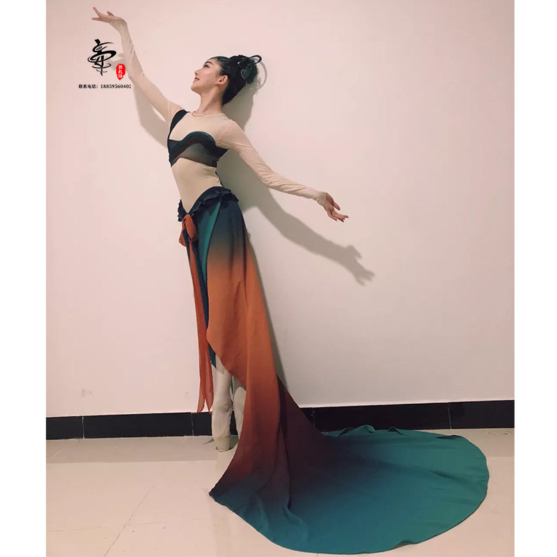 New classical dance costumes Dunhuang Feitian dance dance costumes tail skirt elegant adult female custom