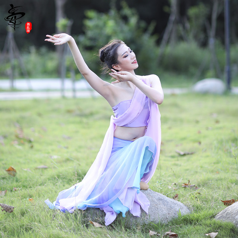 Dai costume female art test dance performance costume home performance costume national wind classical elegant peacock dance dance costume