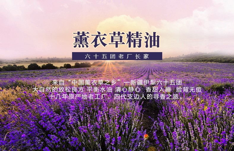 Tân Cương Tinh dầu oải hương 10ml Dầu thơm chăm sóc da Chăm sóc da nguyên chất Hương liệu đơn phương 65 Group Wei Nhà máy quản lý chính hãng tinh dầu xông