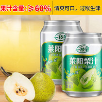 Shandong Yizhibi Pur Jus de Poire Laiyang Concentré Sucre de Roche Poire des Neiges Jus de Fruits et Légumes Authentique Jus de Poire Boisson Boîte Entière Lot