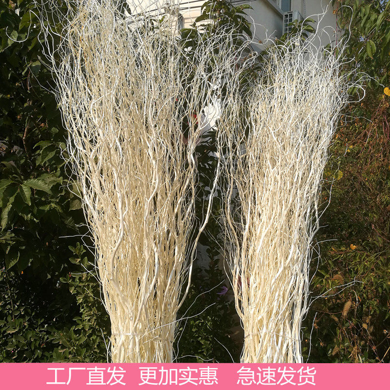 Dragon Wicker Dry Branches Wedding Celebration Arches Suit Living Room Dragon Mulberry Dry Branch Dry Branch Flower Dry Branch Xuan Guan Branch Windows