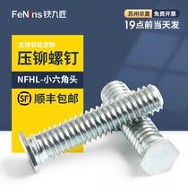 Galvanized small head hexagon riveting screw screw NFHL-M3M4M5M6-6 8 10 12 15 20 25 30