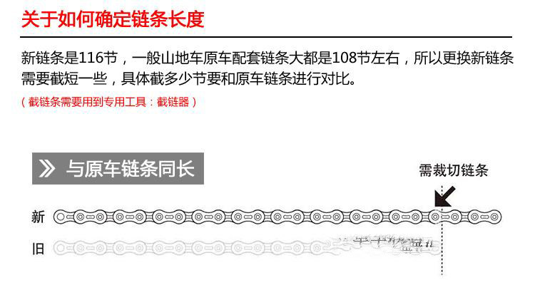 Chaîne de vélo - Ref 2367715 Image 8